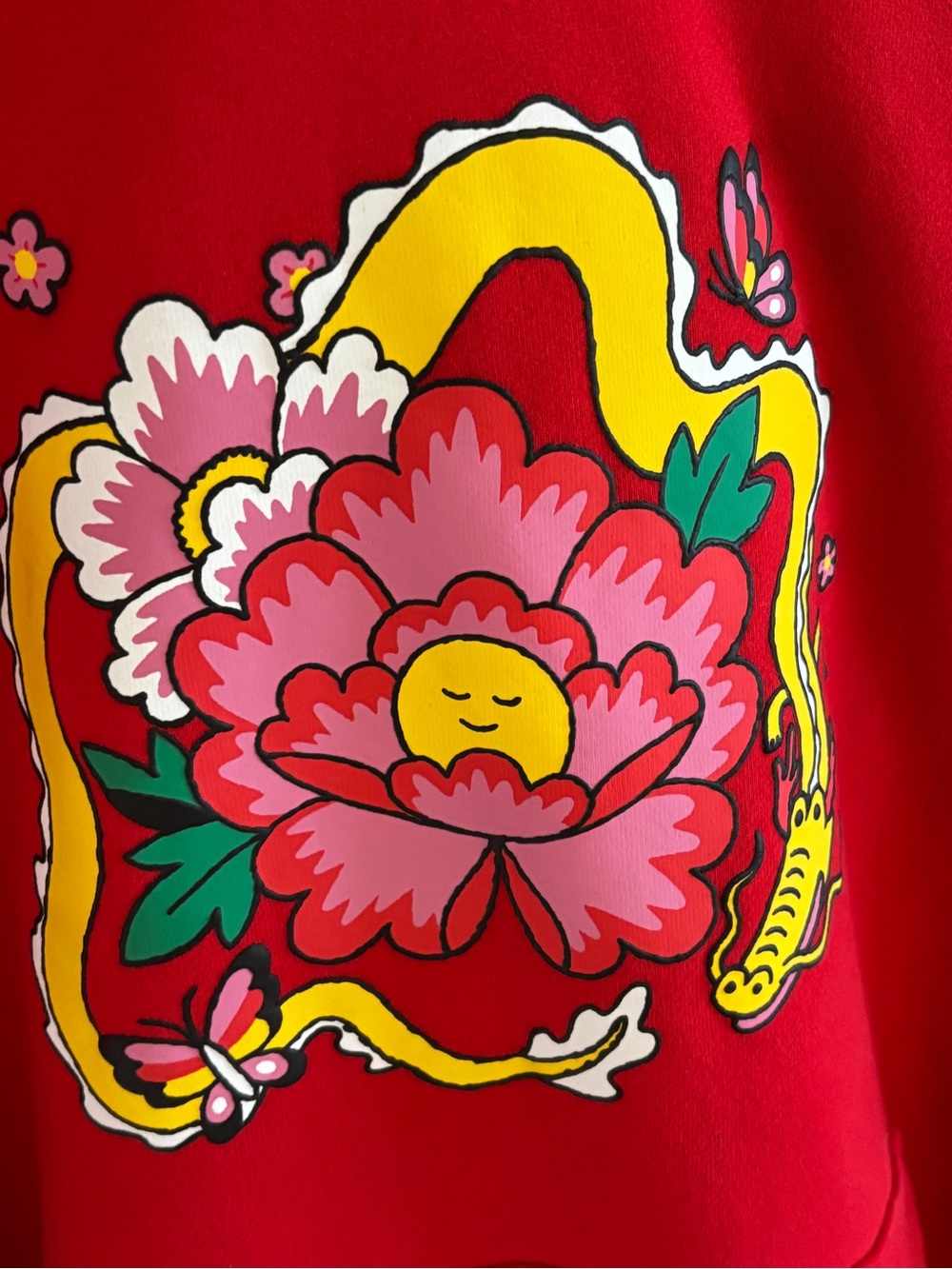 Aritzia Rare Lunar New Year Mega Raglan Hoodie Min Heo SZ XL - Picture 5 of 9